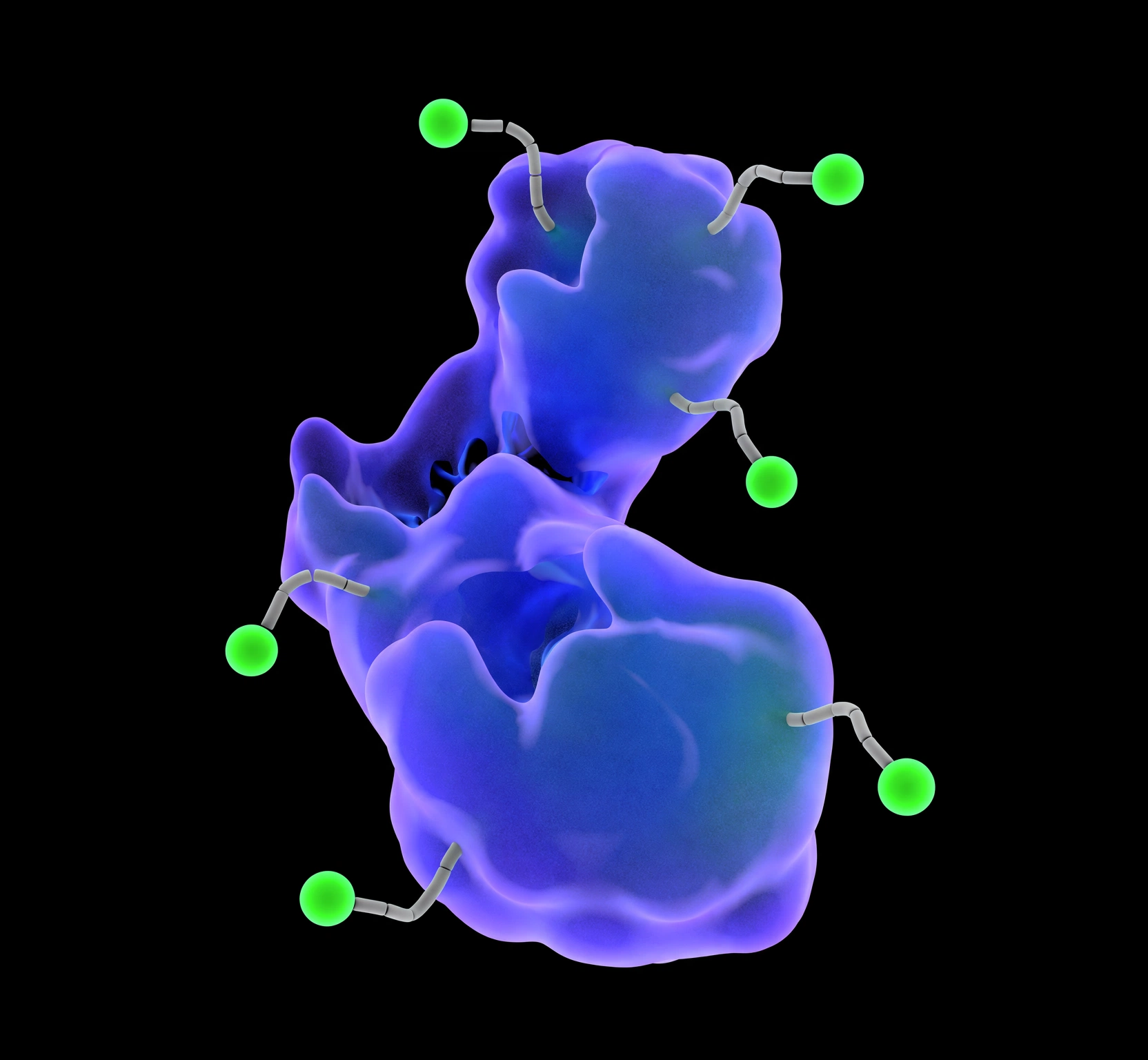 ACT-903: ACT-101 (recombinant human AFP) carrying six maytansine payloads on cleavable linkers